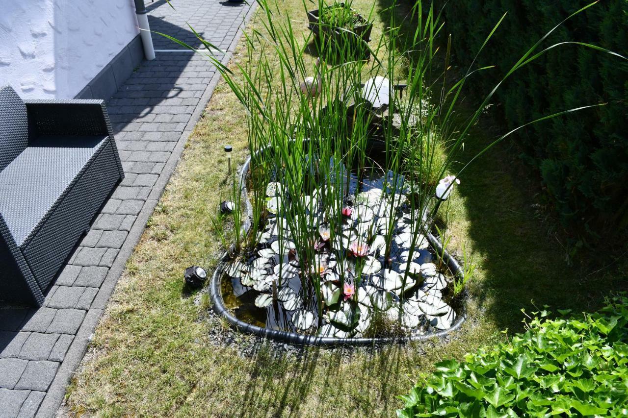 Ferienwohnung Bellerbergblick Ettringen  Eksteriør billede